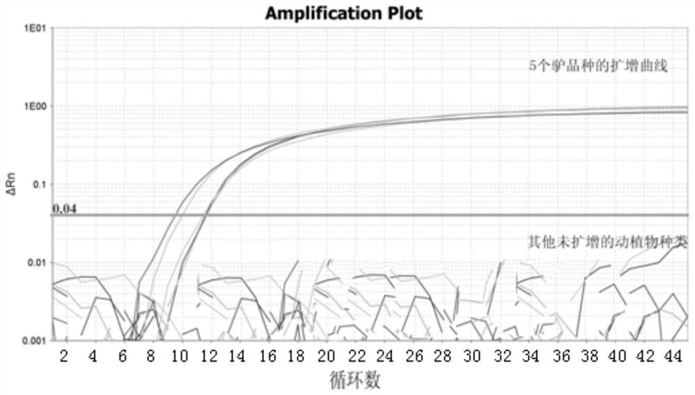 Real-time fluorescent PCR detection method for donkey-derived components in food and feed