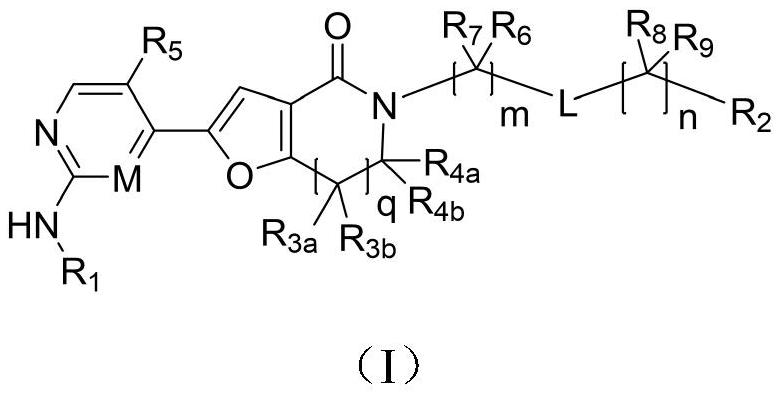 A class of furolactam compounds, preparation method and use