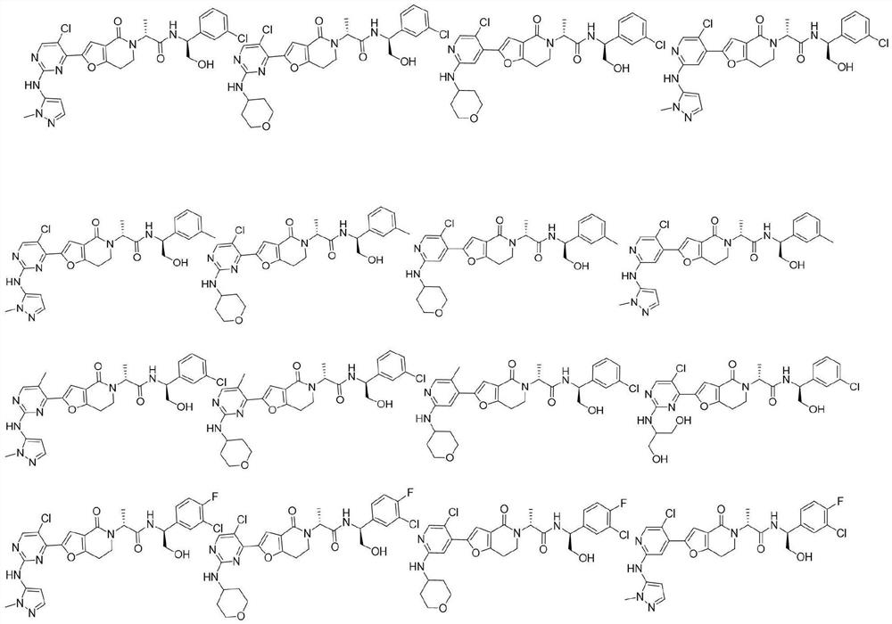 A class of furolactam compounds, preparation method and use