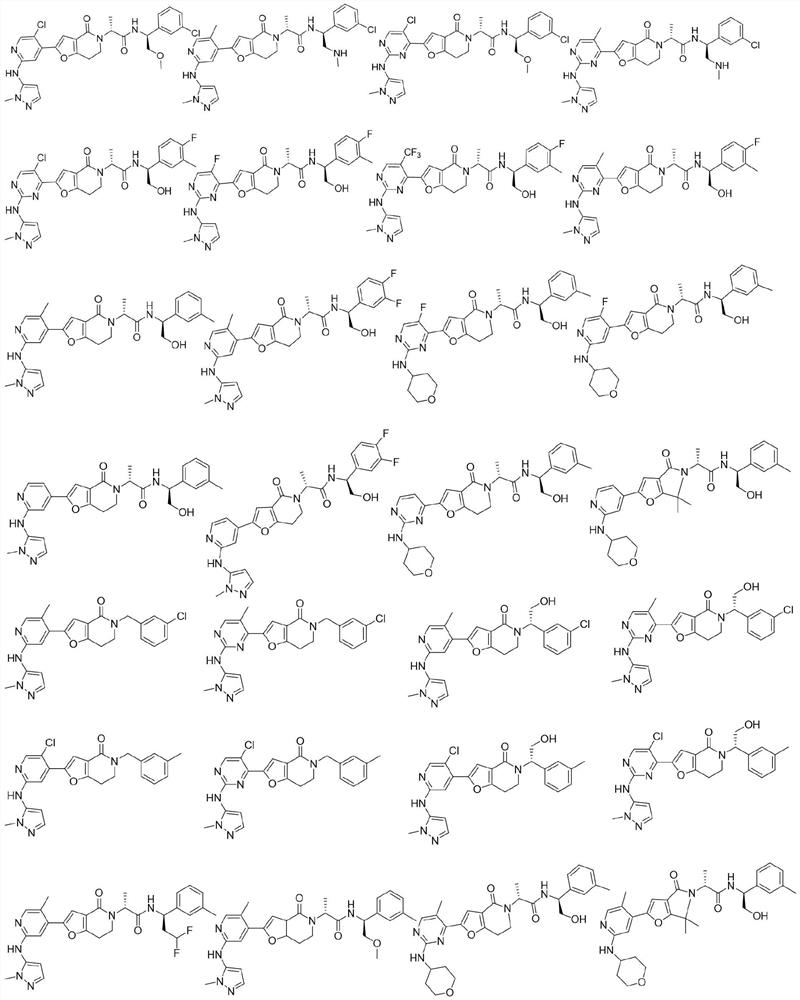 A class of furolactam compounds, preparation method and use