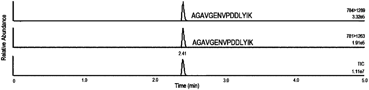 Quantitative detection method of HPV L1 protein