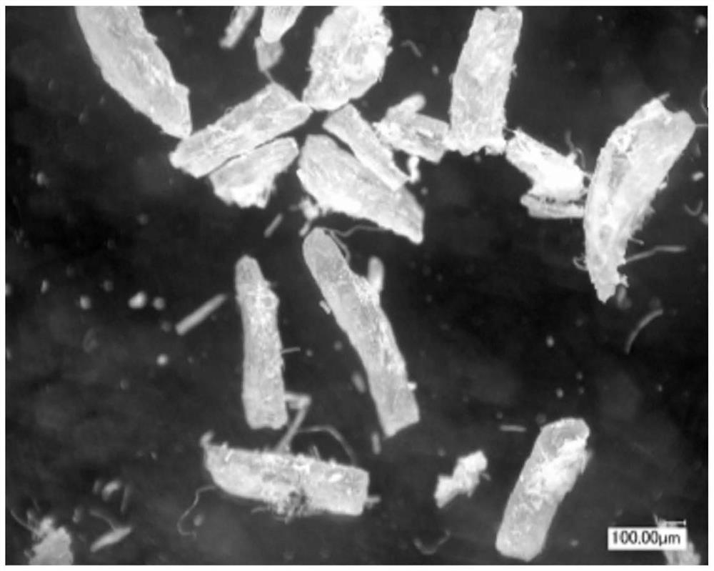 Polyphenylene ether powder and its production method