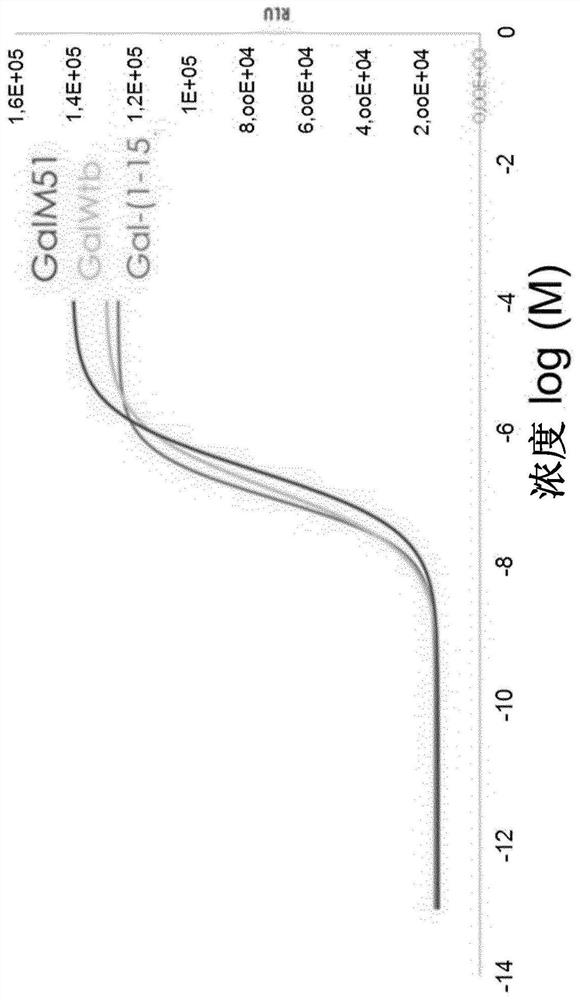 Cyclic galanin analogs and uses thereof