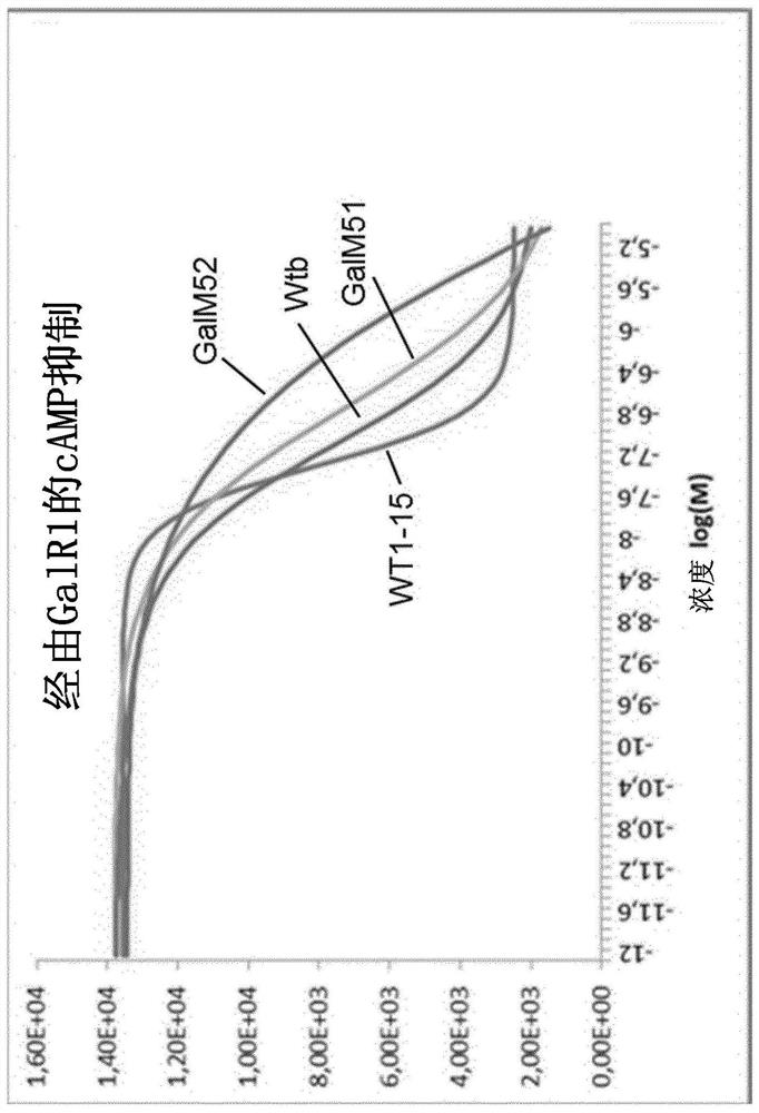 Cyclic galanin analogs and uses thereof