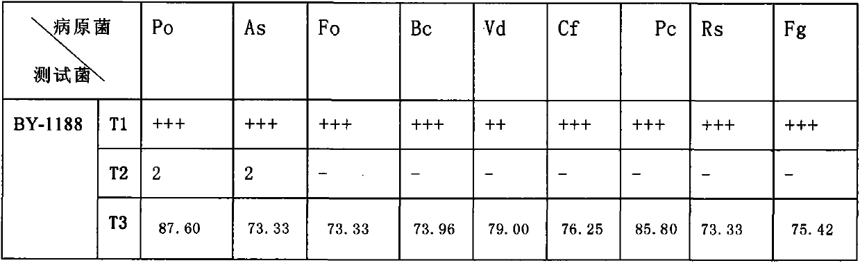 Marine bacillus with multiple functions on plants and its application