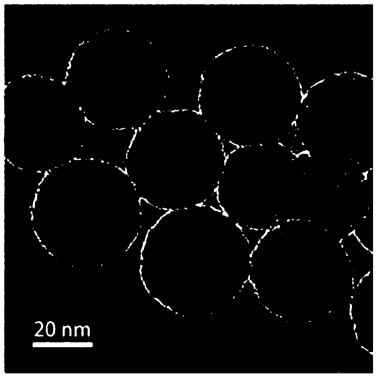 Ion specific filter membrane/mesoporous silicon composite material, nano sensor, product and application thereof