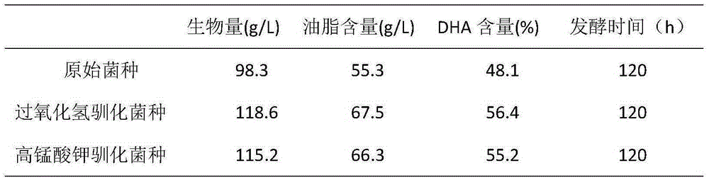 DHA fermenting high-yielding method