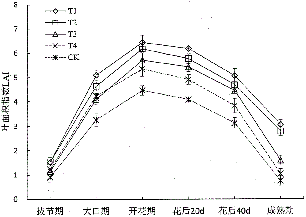 High-yield simple and labor saving type maize cultivation technology