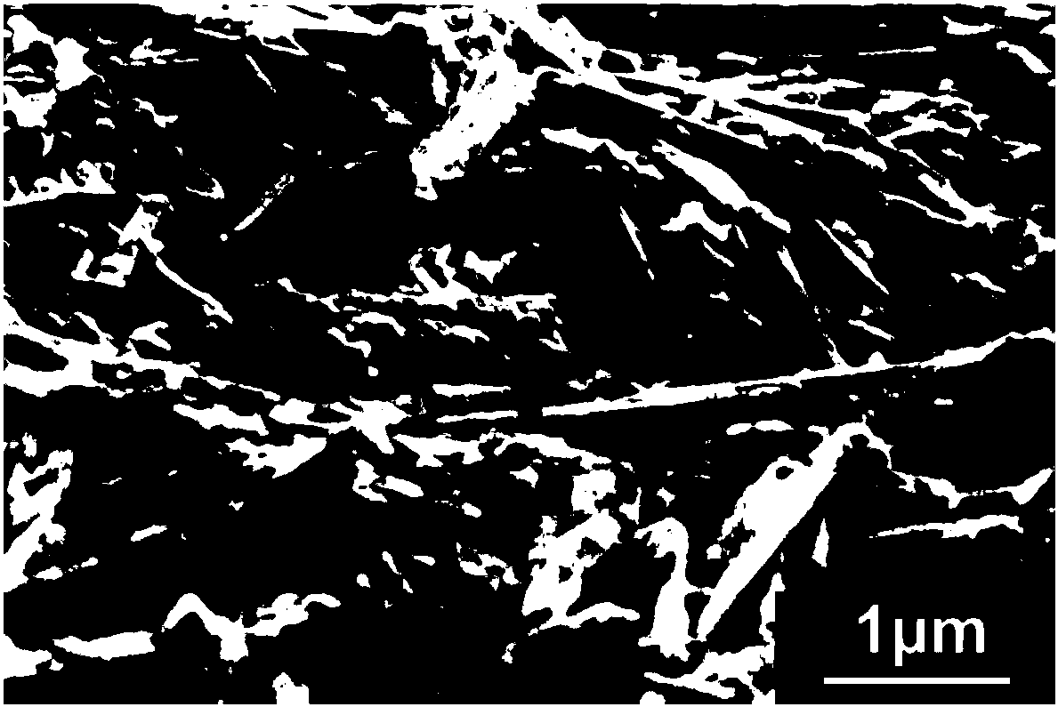 Moisture generator and preparation method thereof