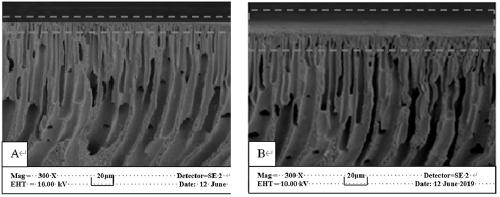 Polyvinyl imidazole functionalized polysulfone microfiltration membrane as well as preparation method and application thereof