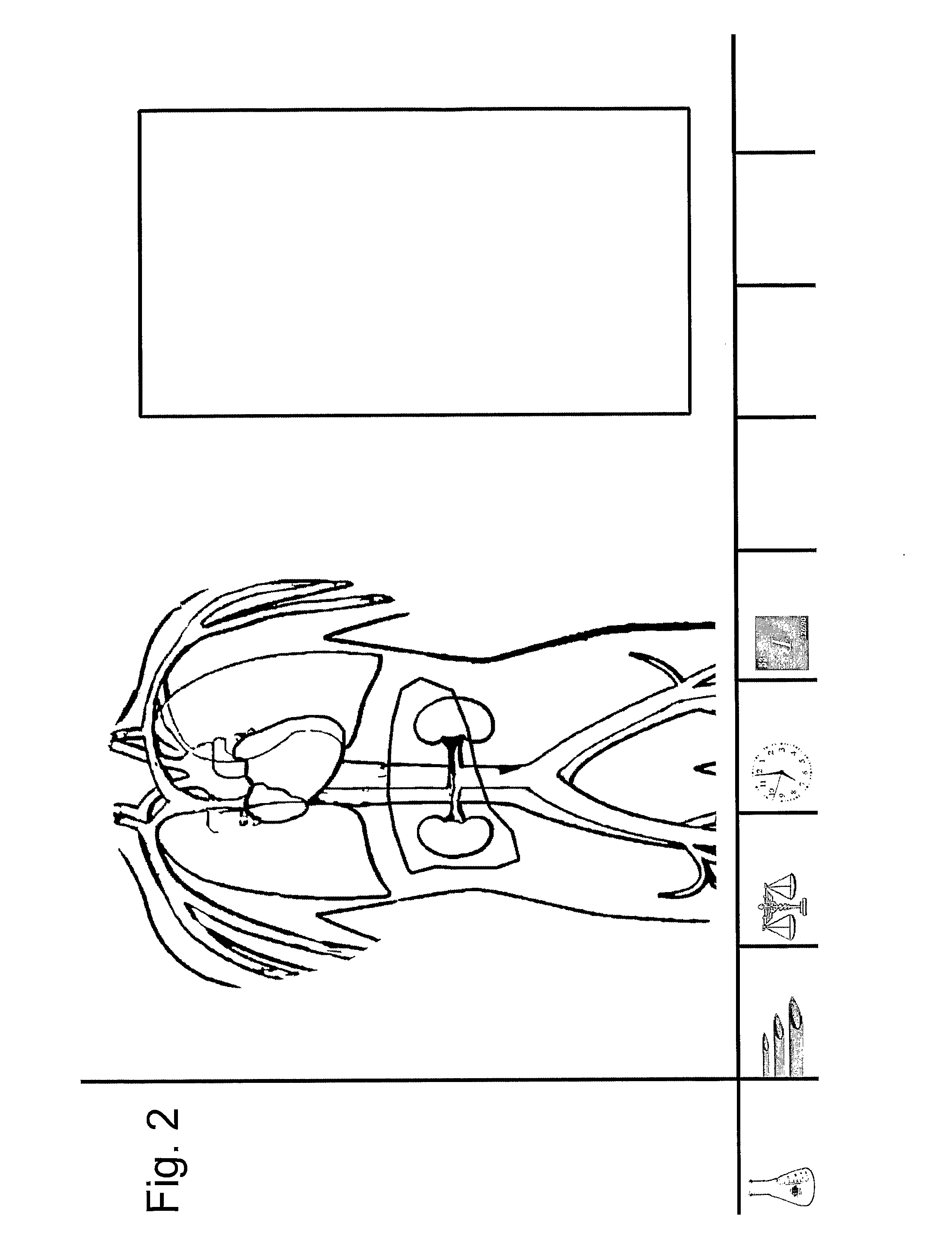 Devices, systems and methods for determining parameters of one or more phases of an injection procedure