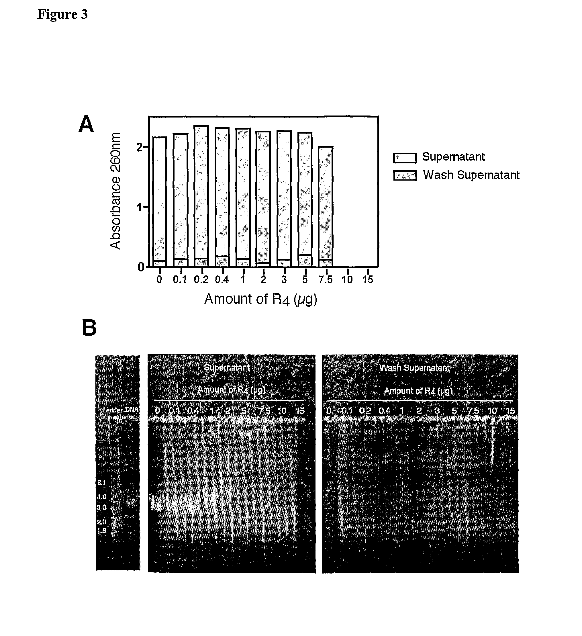 Method of transfection and compositions therefor