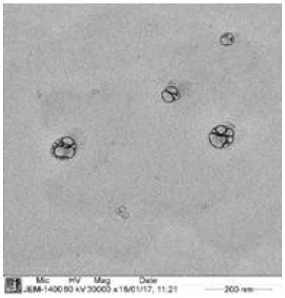 Fabrication of aquaporin-based biomimetic membrane