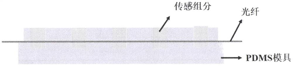 Flexible non-invasive optical fiber sensing type brain-computer interface electrode and preparation method thereof