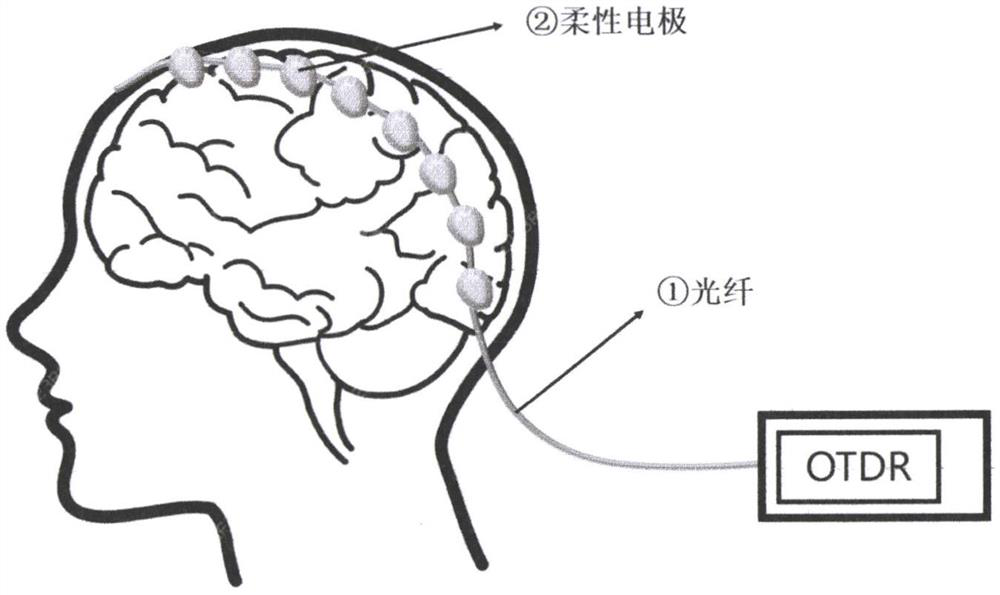 Flexible non-invasive optical fiber sensing type brain-computer interface electrode and preparation method thereof