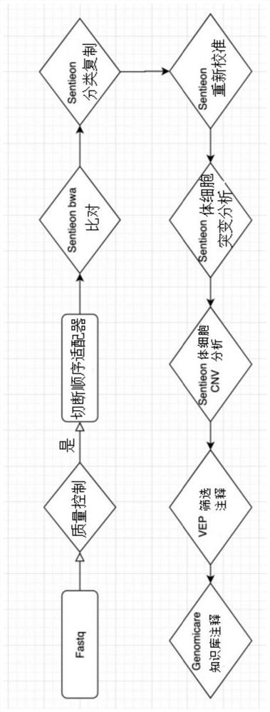 Prediction method for synergistic drug combination