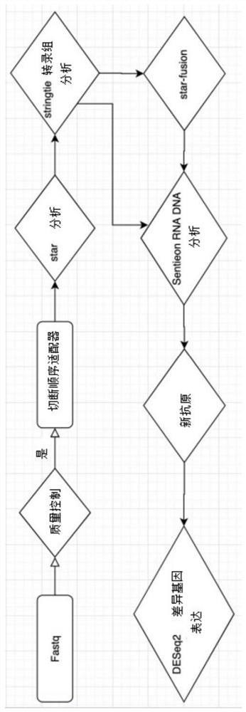 Prediction method for synergistic drug combination