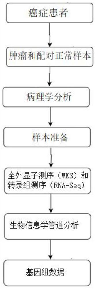 Prediction method for synergistic drug combination