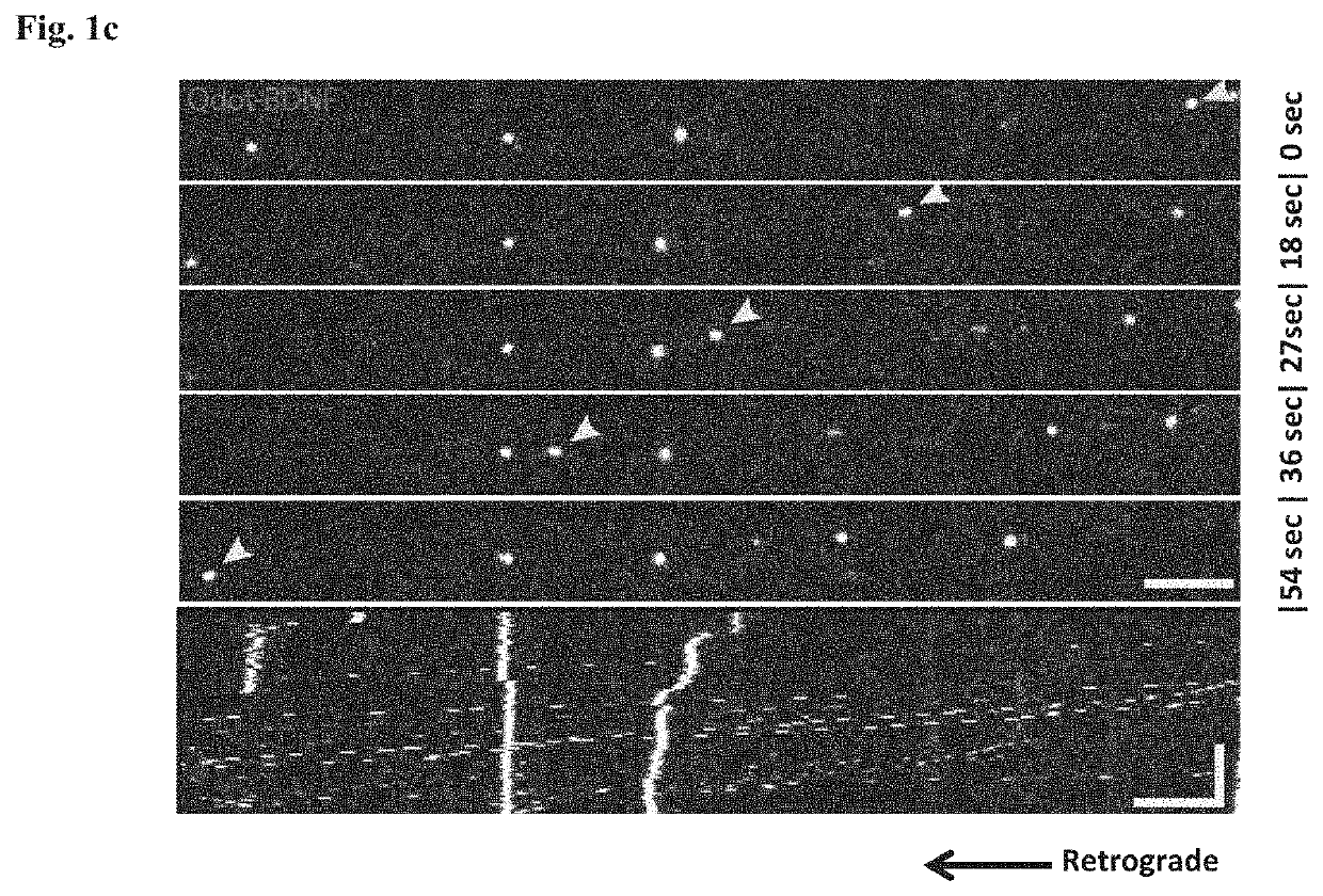 Method of treating amyotrophic lateral sclerosis with pridopidine