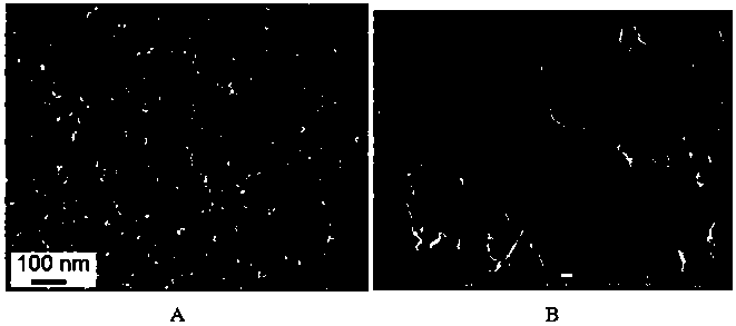 High-efficiency antibacterial fiber and manufacturing method thereof