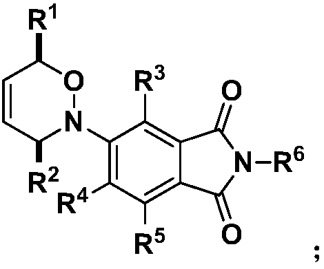 Fluorescent probe and preparation method thereof