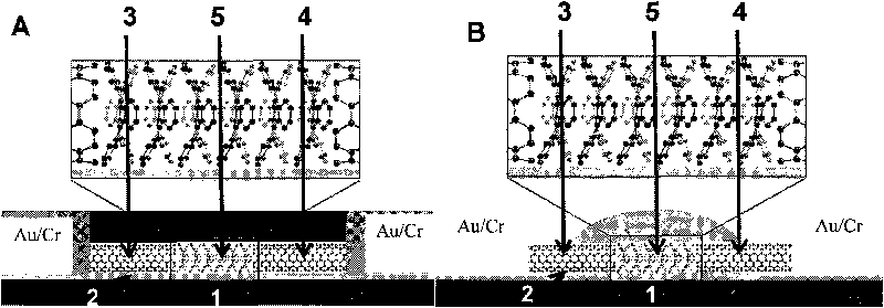 Field effect transistor device using carbon nano tube as electrode and preparation method thereof