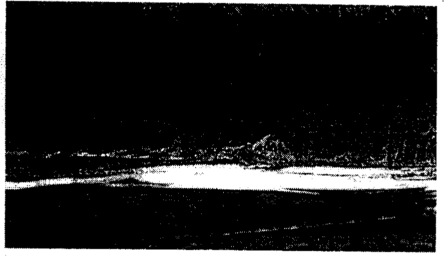 Water-entering adaptive adjusting sewage outfall device