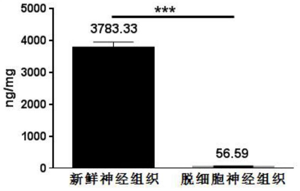 A kind of decellularized nerve matrix material and its preparation method and application