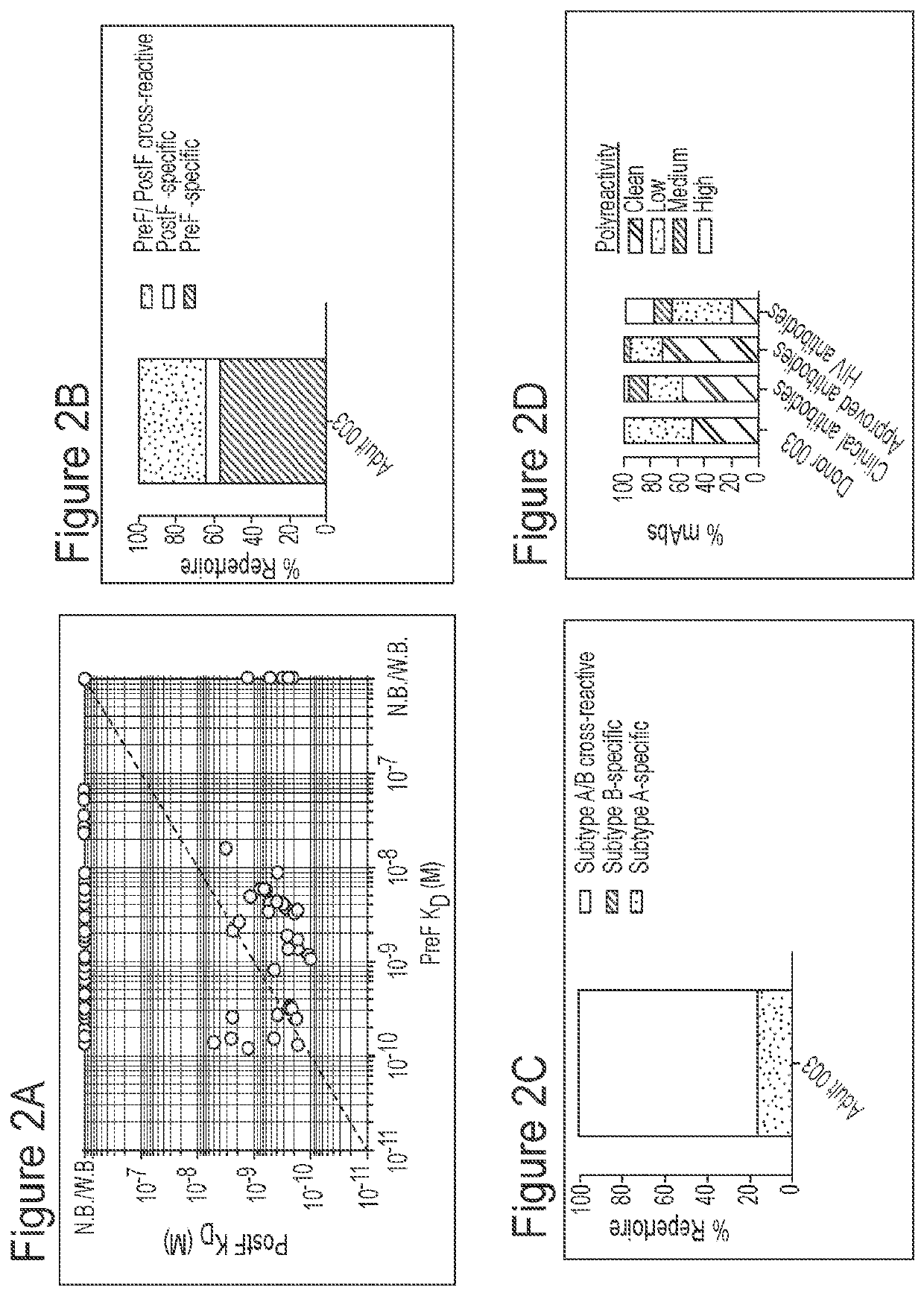 Anti-respiratory syncytial virus antibodies, and methods of their generation and use