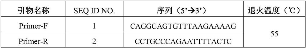 A congenital aniridia screening kit