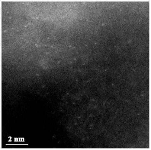 Metal monatomic catalyst and preparation method thereof