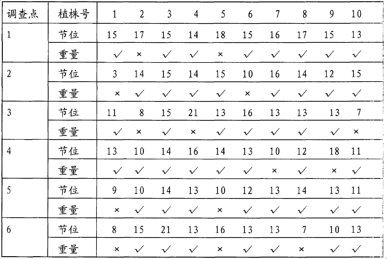 Planting mode suitable for stereoscopic fruit and vegetable crops