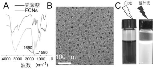 Visualized spherical nucleic acid based on fluorescent carbon nanoparticles and its preparation method and application