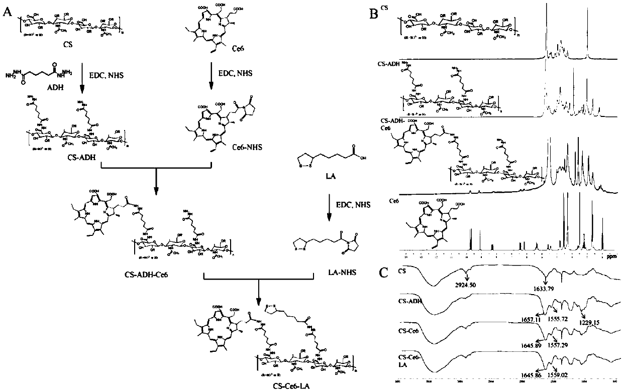 Construction and application of core-shell type intelligent nano delivery system