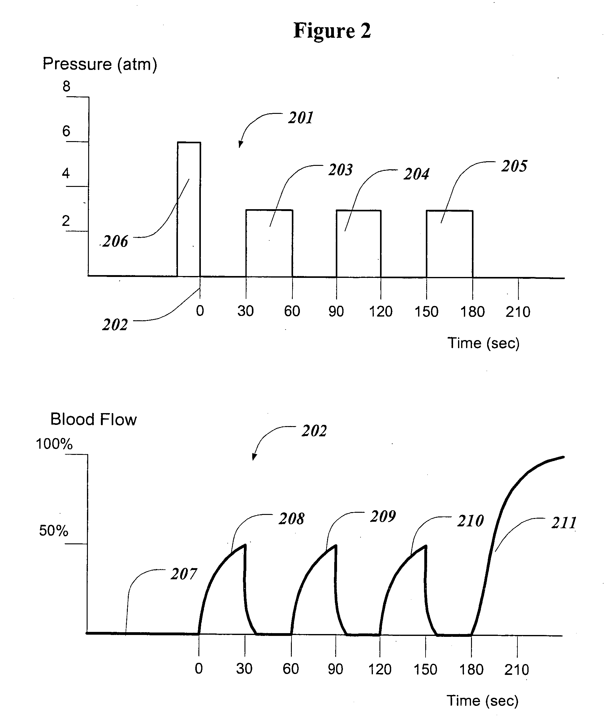 System and method for the treatment of reperfusion injury