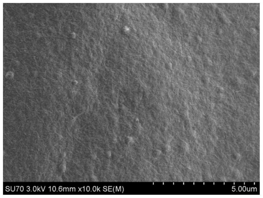 Flexible metal organic framework/gelatin composite film as well as preparation method and application thereof