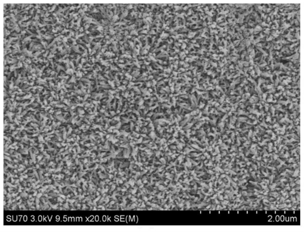 Flexible metal organic framework/gelatin composite film as well as preparation method and application thereof