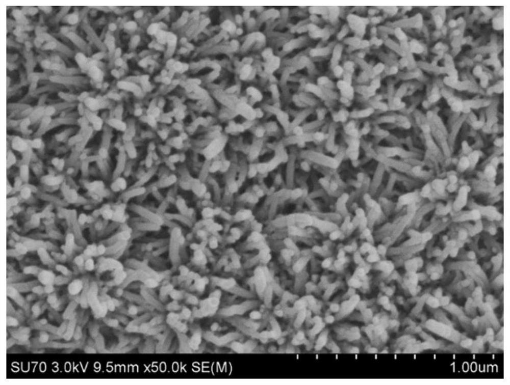 Flexible metal organic framework/gelatin composite film as well as preparation method and application thereof