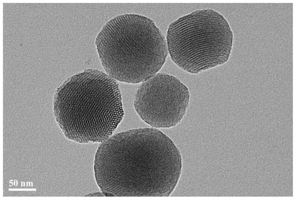 A kind of mesoporous silica nanoparticles loaded with norcantharidinic acid and preparation method thereof