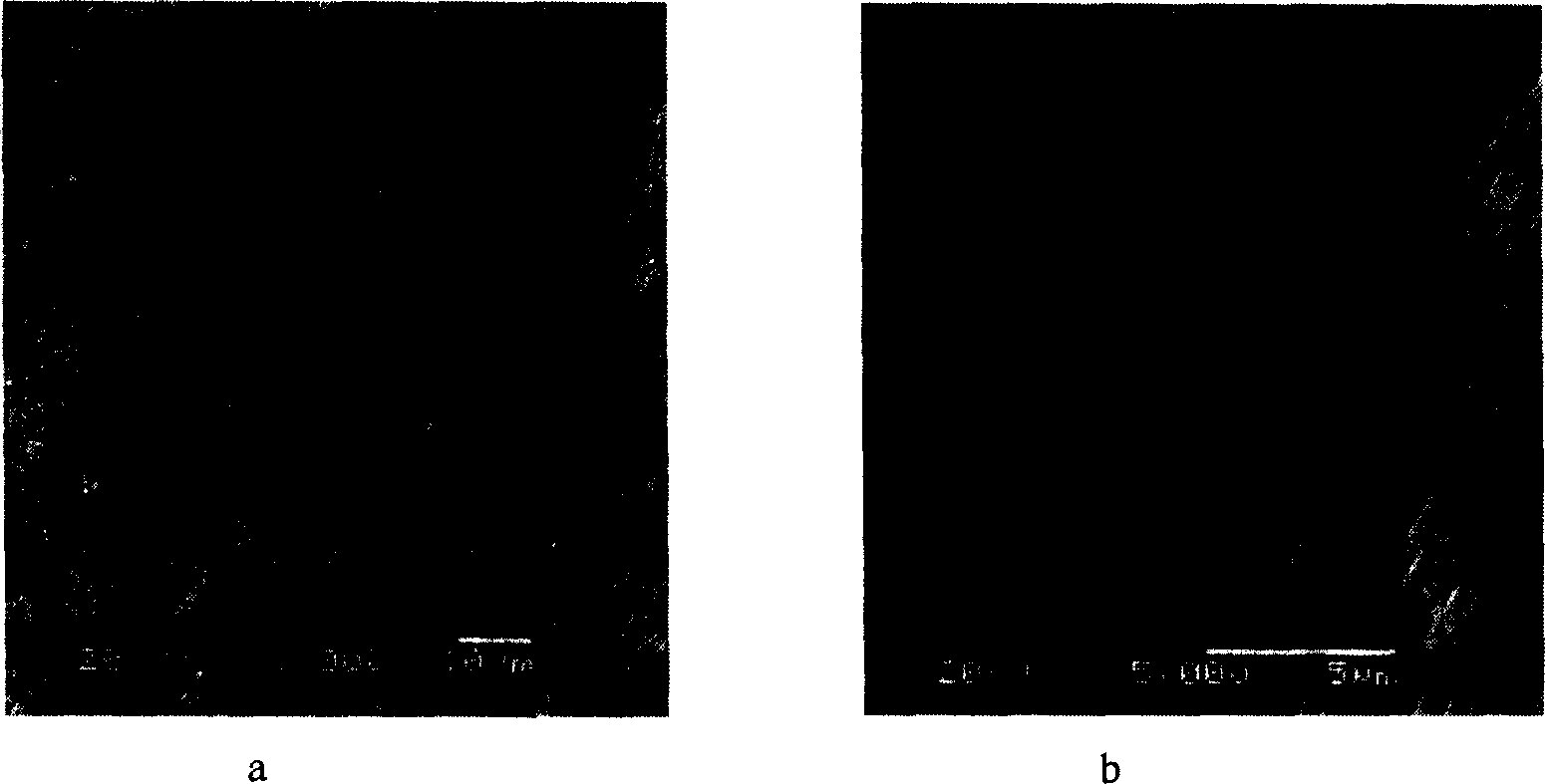 Preparation process of metal aluminium template for assembling nano-micron array material