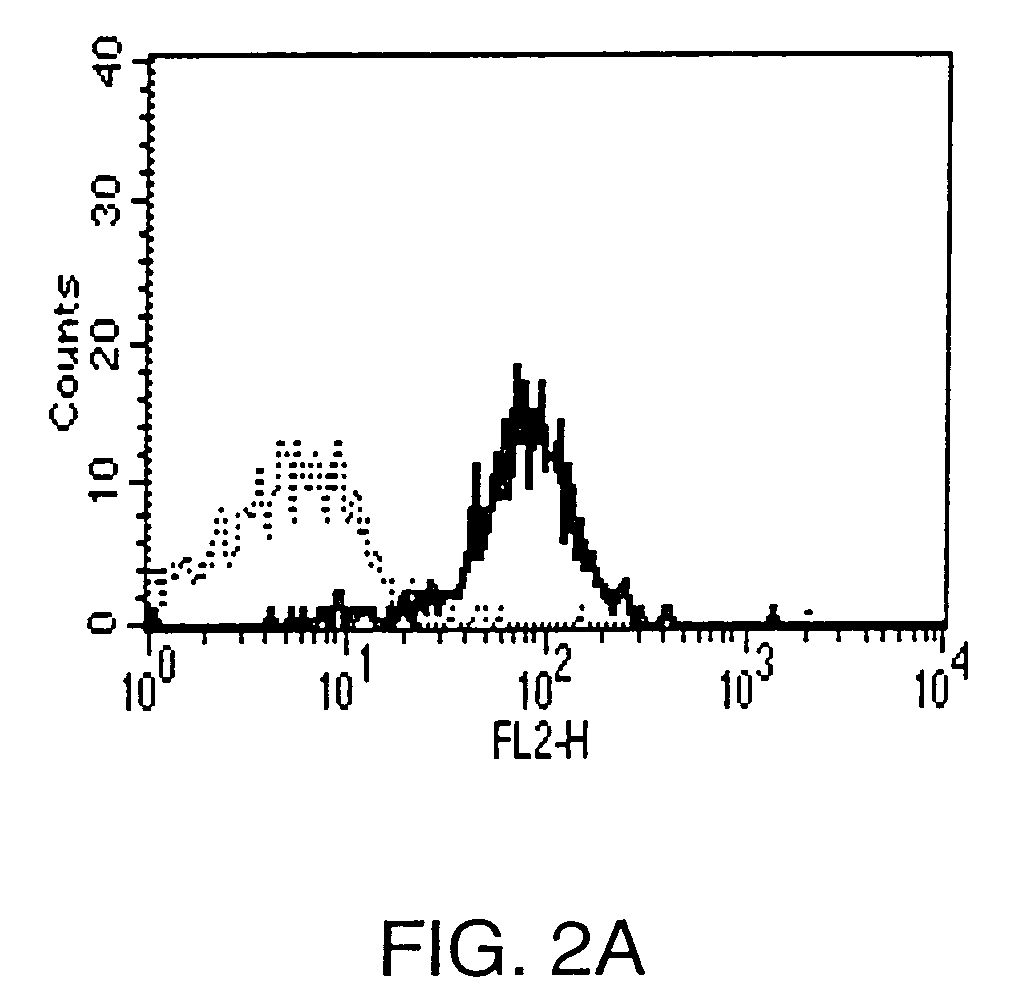 Anti-CCR1 antibodies and methods of use thereof