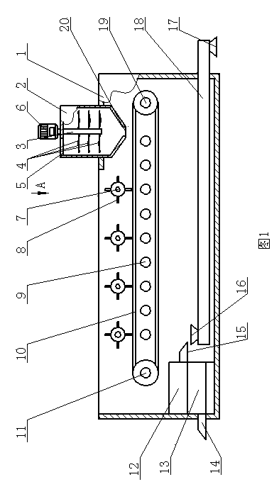 Zeolite controlled-release fertilizer and manufacturing method for same