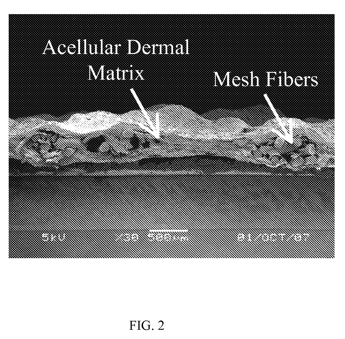 Method of manufacturing acellular matrix glue