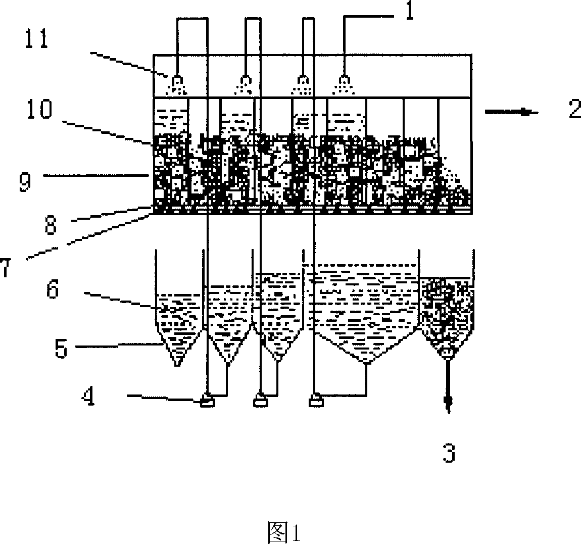 Process for extracting capsaicin crystal from dry capsium