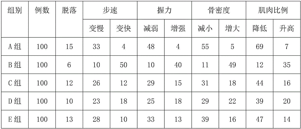 Composite lactobacillus slice rich in nutrition as well as preparation method and application thereof