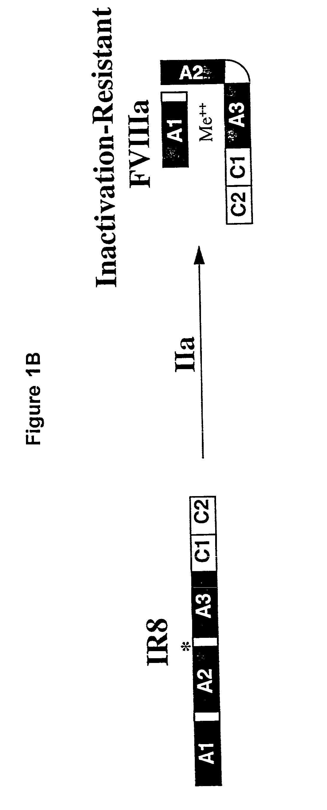 Inactivation resistant factor VIII related applications