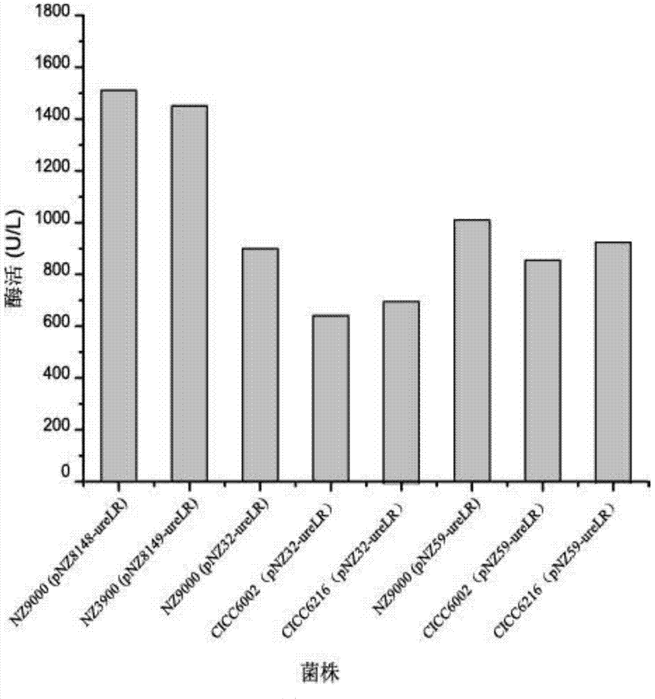 Efficient preparation method and applications of food-grade acid ureases