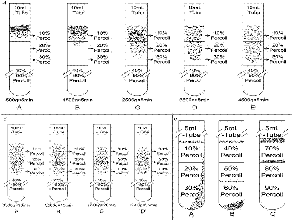 Cryopreservation method of cranoglanis bouderius seminal fluid and diluent thereof