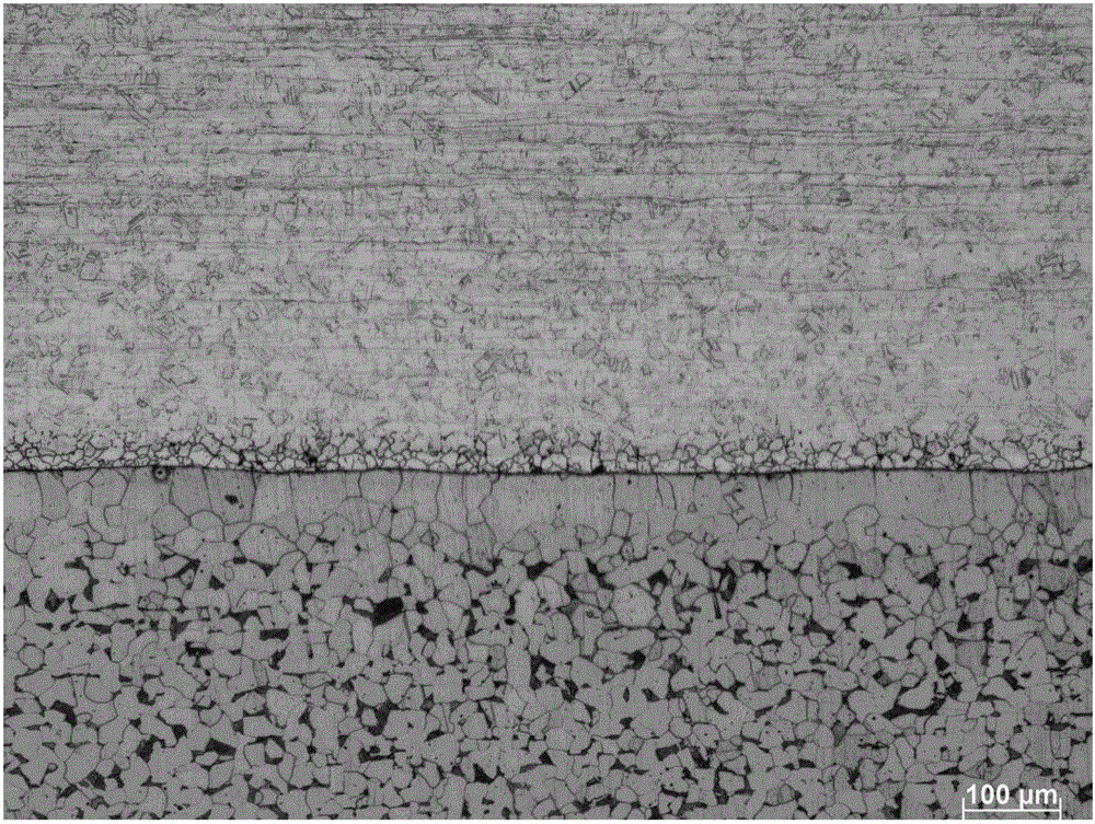 Electrolytic corrosion method of stainless steel/carbon steel composite plate metallographic structure