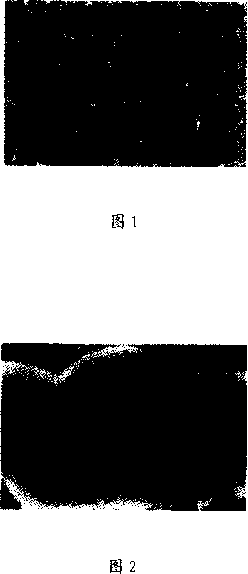 Method for discriminating welding disc and black disc failure state